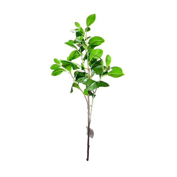 Peperomia Leaf Spray - 88cm - Image 3