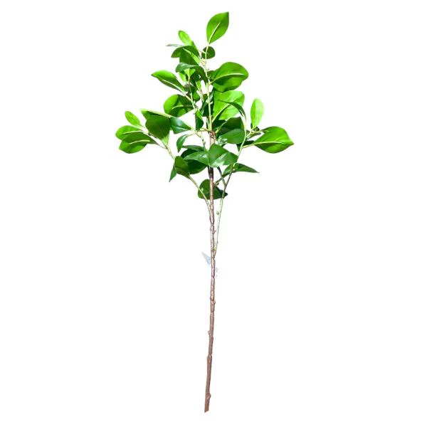 Peperomia Leaf Spray - 88cm - Image 4