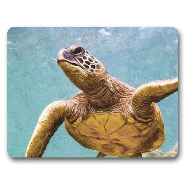 6 Pack Elliot Turtle Placemat - 34cm x 26.5cm