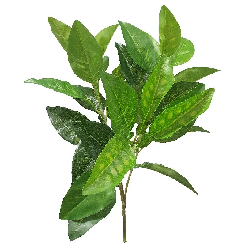 Green Pomelo Leaf Spray - 48cm