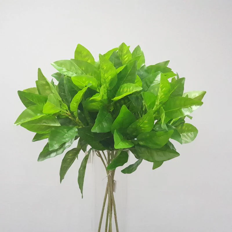 Green Pomelo Leaf Spray - 48cm - Image 2