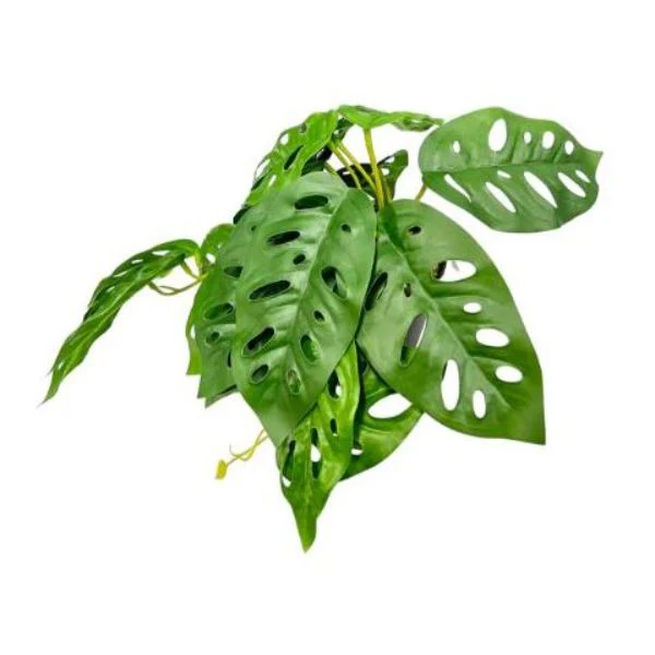 Green Potted Leaf - Image 3