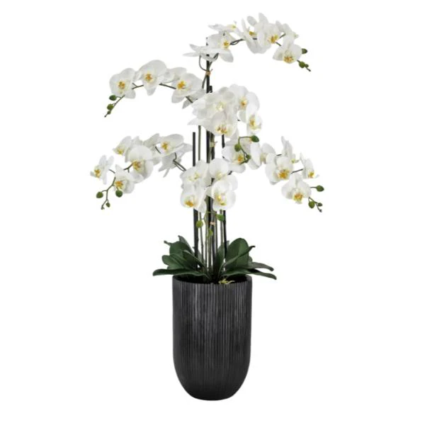 Real Touch Artificial Orchid Pot - 110cm