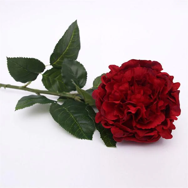 Red Cabbage Rose Stem - 55cm - Image 2