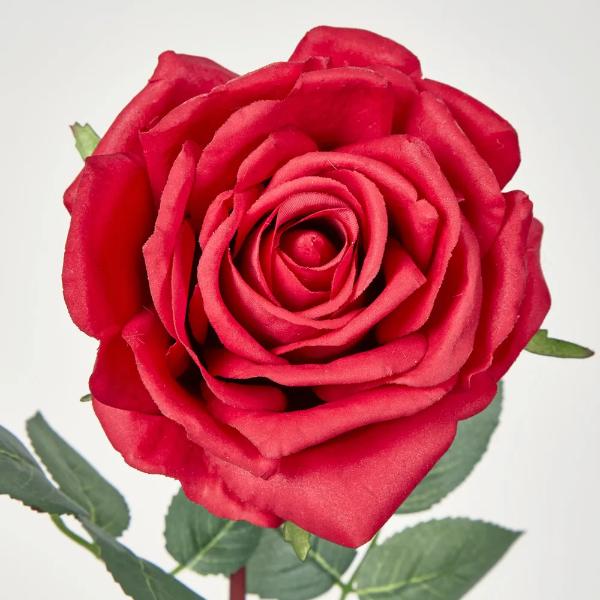 Red Real Touch Bella Rose - Image 2
