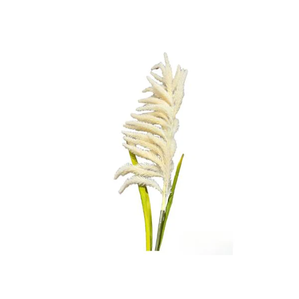 Reed Grass Spray - 130cm - Image 2