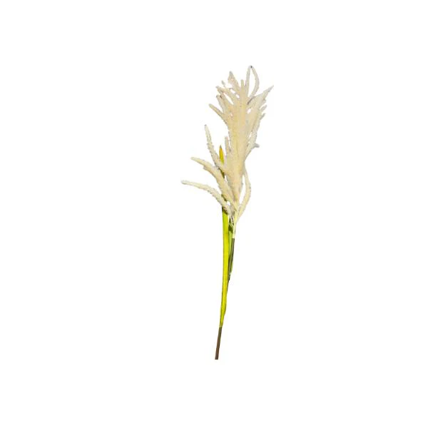 Reed Grass Spray - 130cm - Image 3