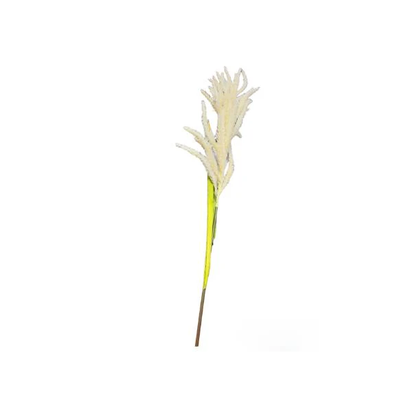 Reed Grass Spray - 130cm - Image 4