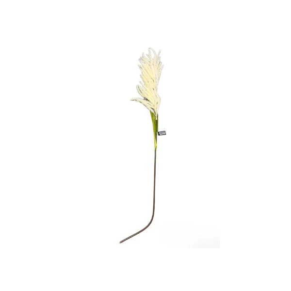Reed Grass Spray - 130cm - Image 6