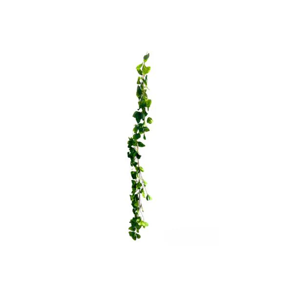 Rose Leaf Garland - 170cm - Image 3
