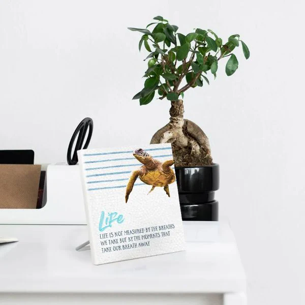 Elliot Turtle Life Sentiment Plaque - 12cm x 15cm - Image 2