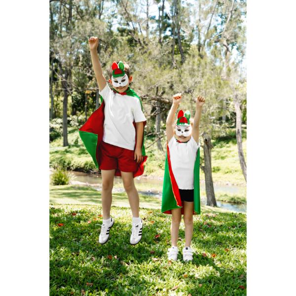South Sydney Rabbitohs Mini Mascot Mask - Image 2