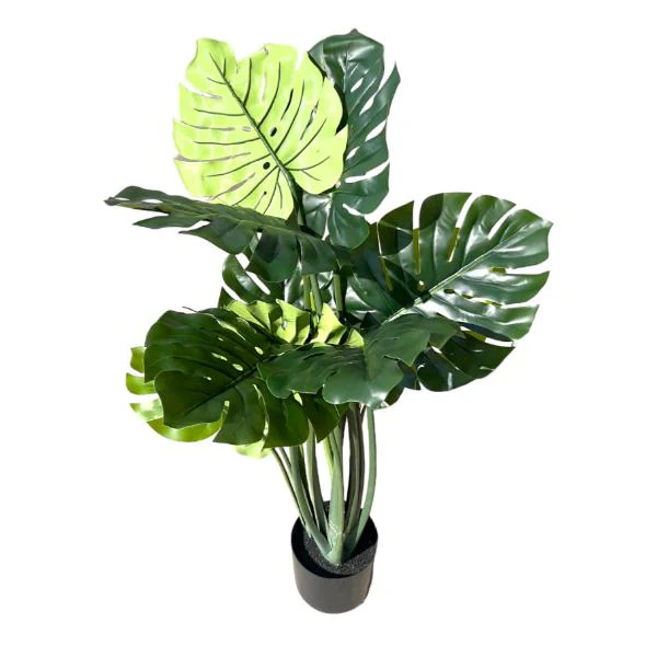 Split Philo Potted Plant - 120cm - Image 3