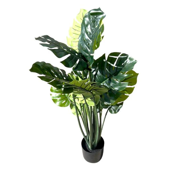 Split Philo Potted Plant - 120cm - Image 4