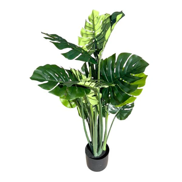 Split Philo Potted Plant - 120cm - Image 6