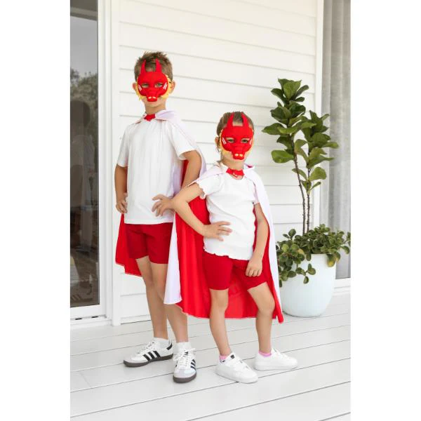St George Illawarra Dragons Mini Mascot Mask - Image 3