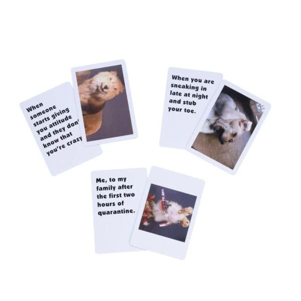 What The F*ck Memes Card Game - Image 2
