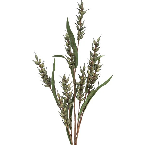 Green Wheaty Whimsy - 81cm