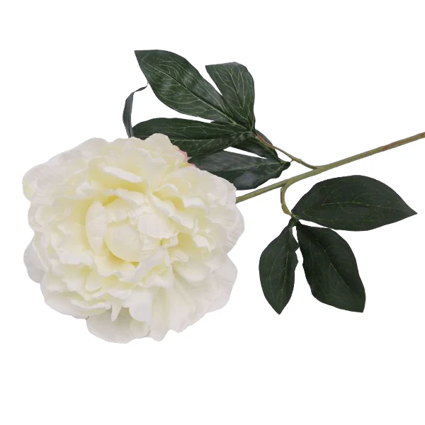 White Peony Stem - 65cm