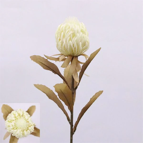 White Protea Stem - 73cm