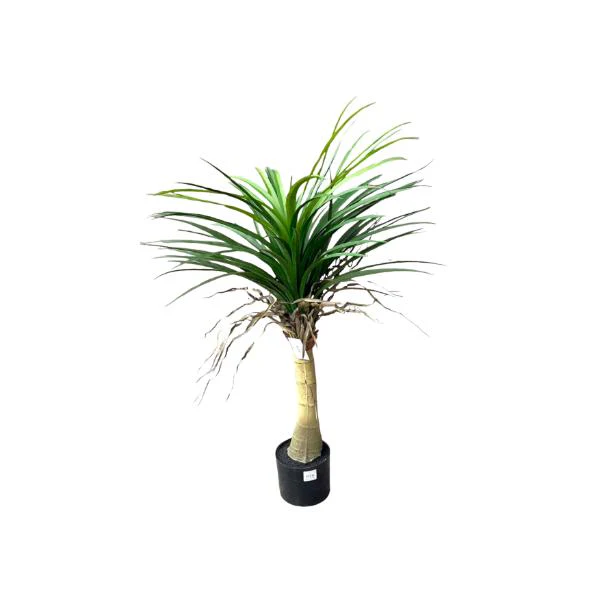 Yucca Potted Plant - 90cm - Image 5
